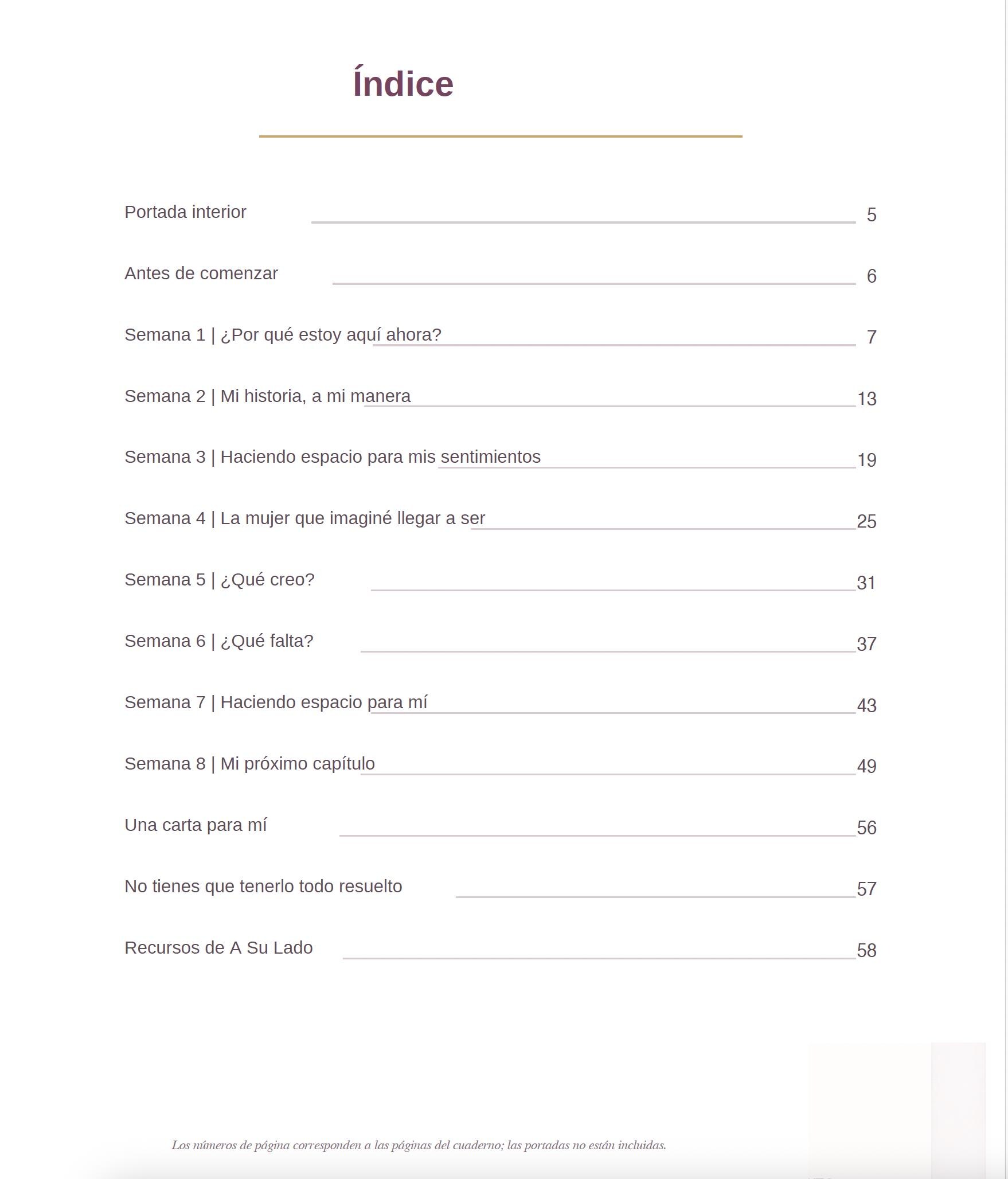 Volver a Encontrarte: Cuaderno guiado de reflexión de 8 semanas para mujeres que atraviesan cambios, preview 2